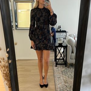 Long Sleeve Zara Mini Dress